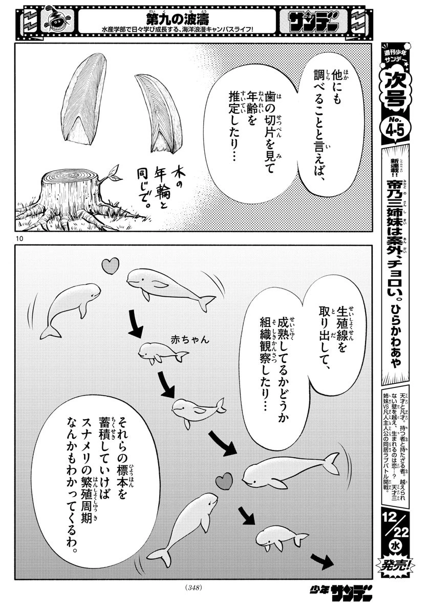 第九の波濤 第186話 - 10