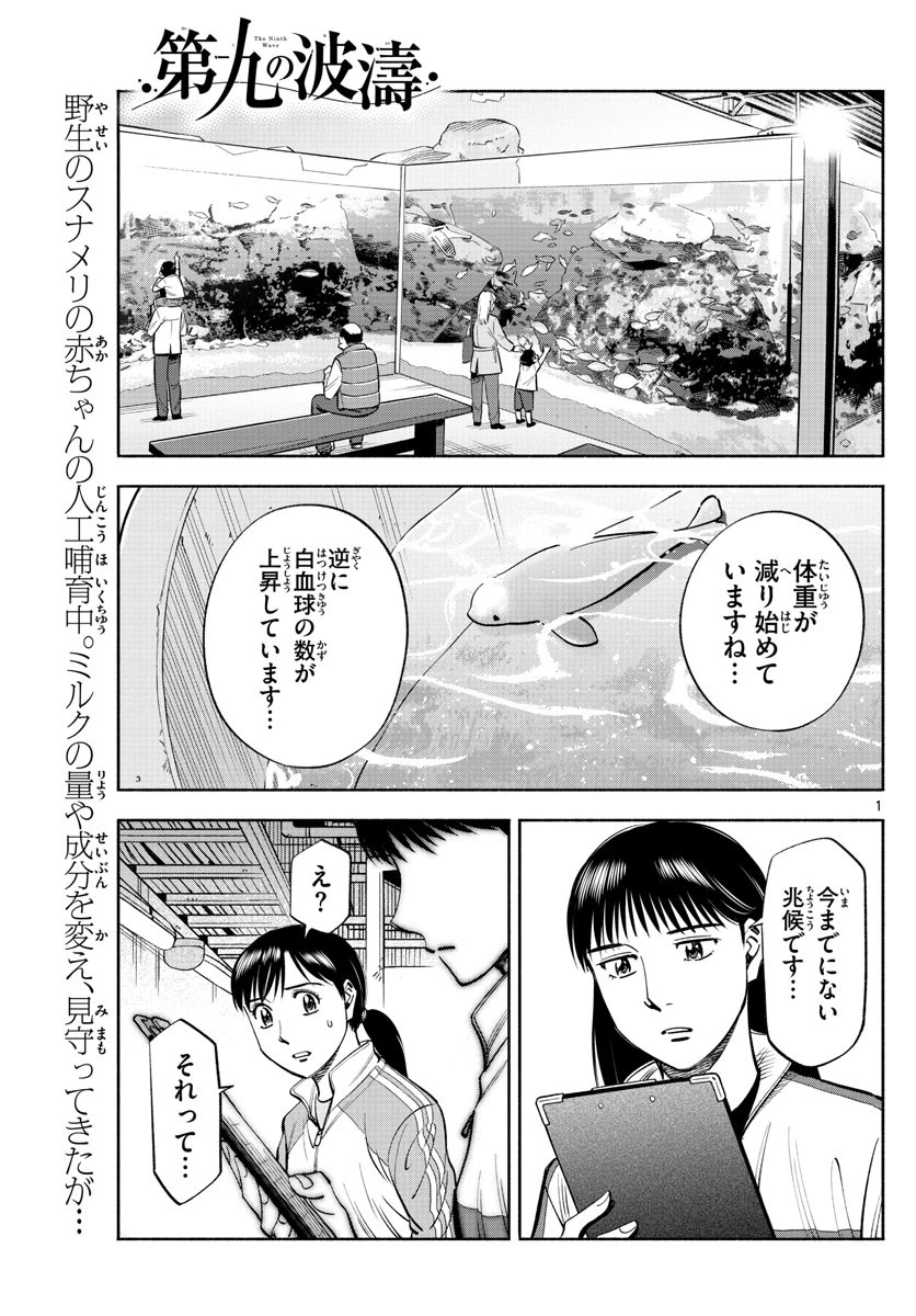 第九の波濤 第201話 - 1
