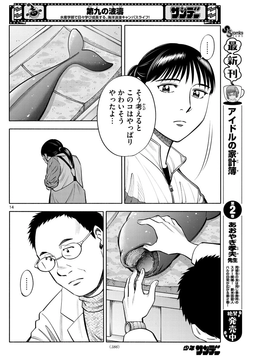 第九の波濤 第201話 - 14