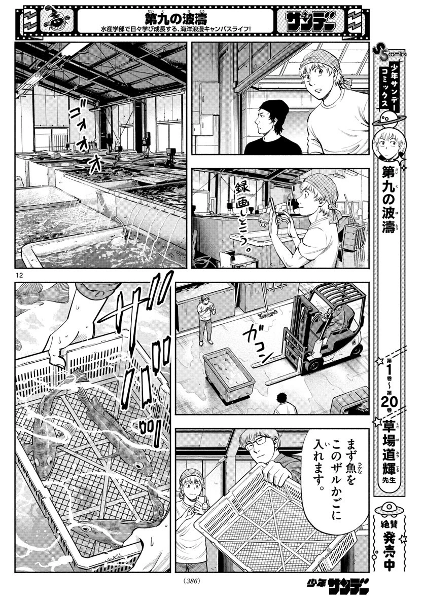 第九の波濤 第214話 - 12