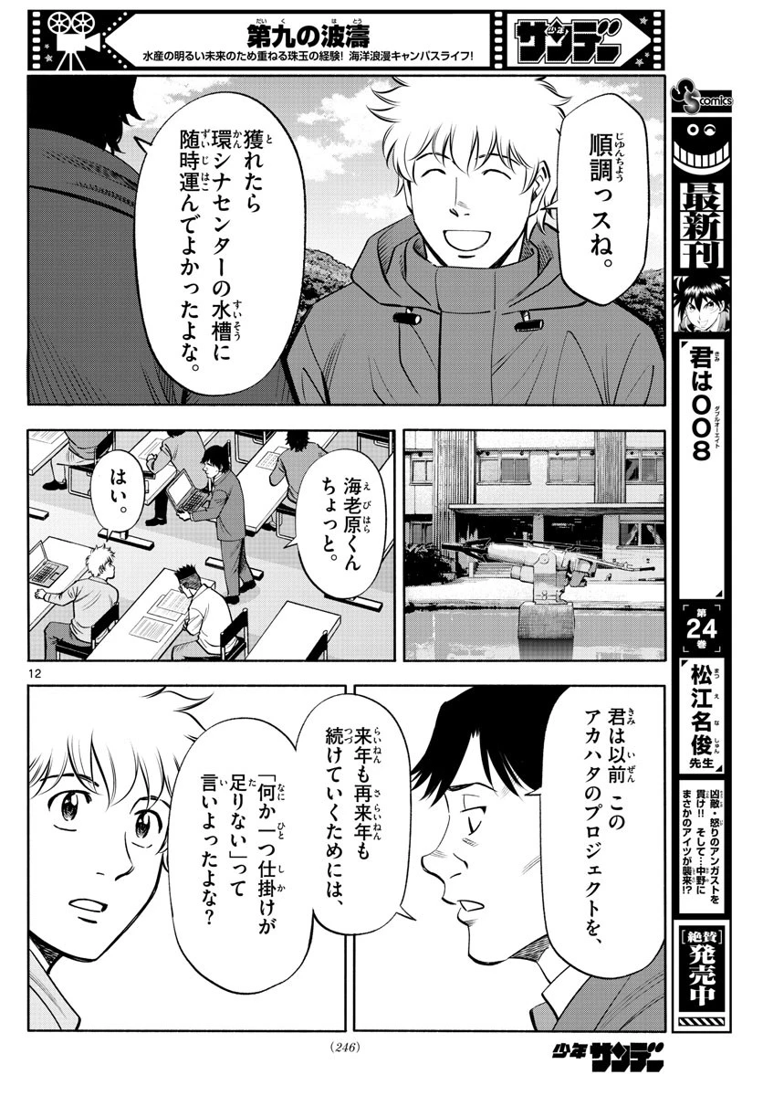 第九の波濤 第229話 - 12