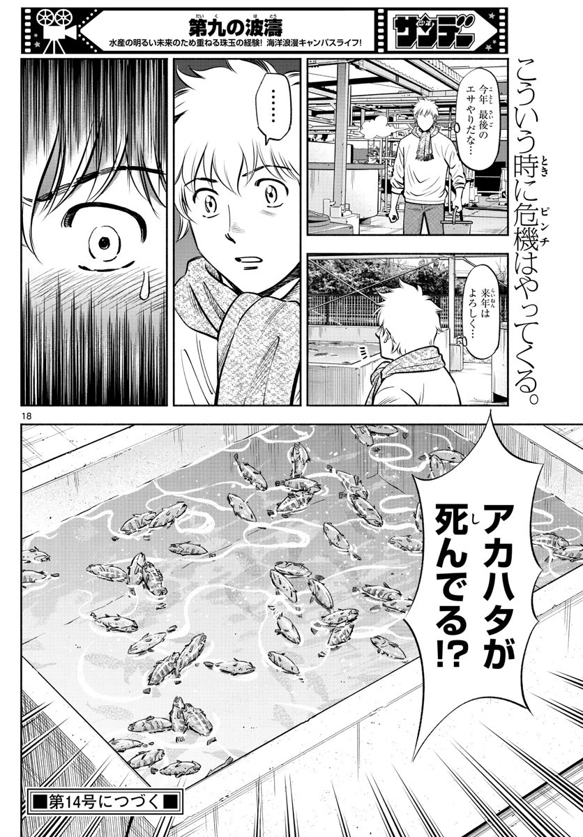 第九の波濤 第229話 - 18