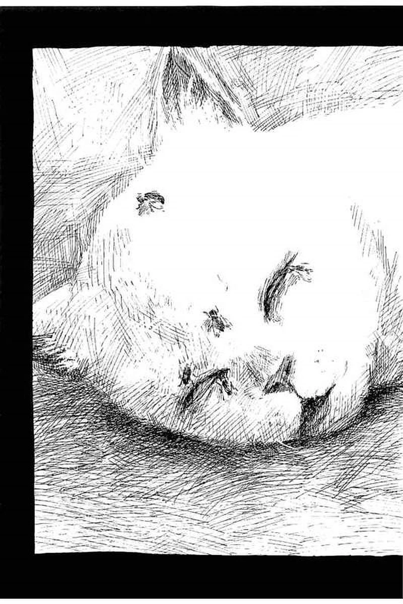 血の轍 第1話 - 48