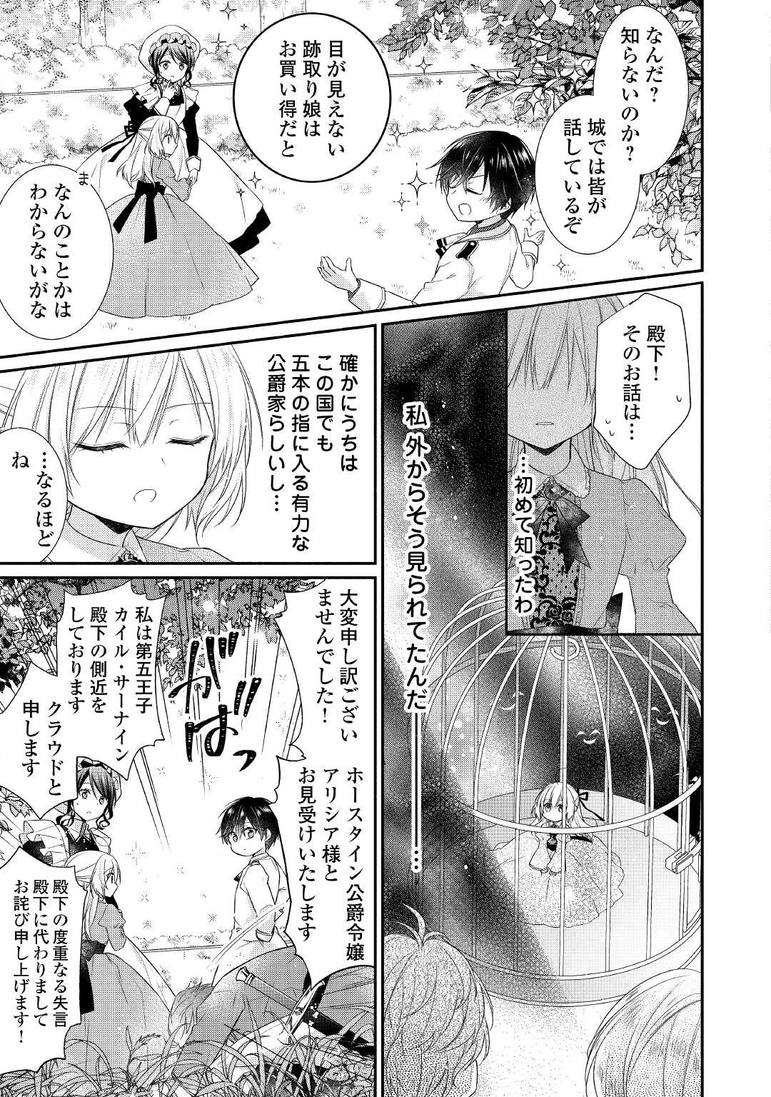 盲目の公爵令嬢に転生しました 第1話 - 13