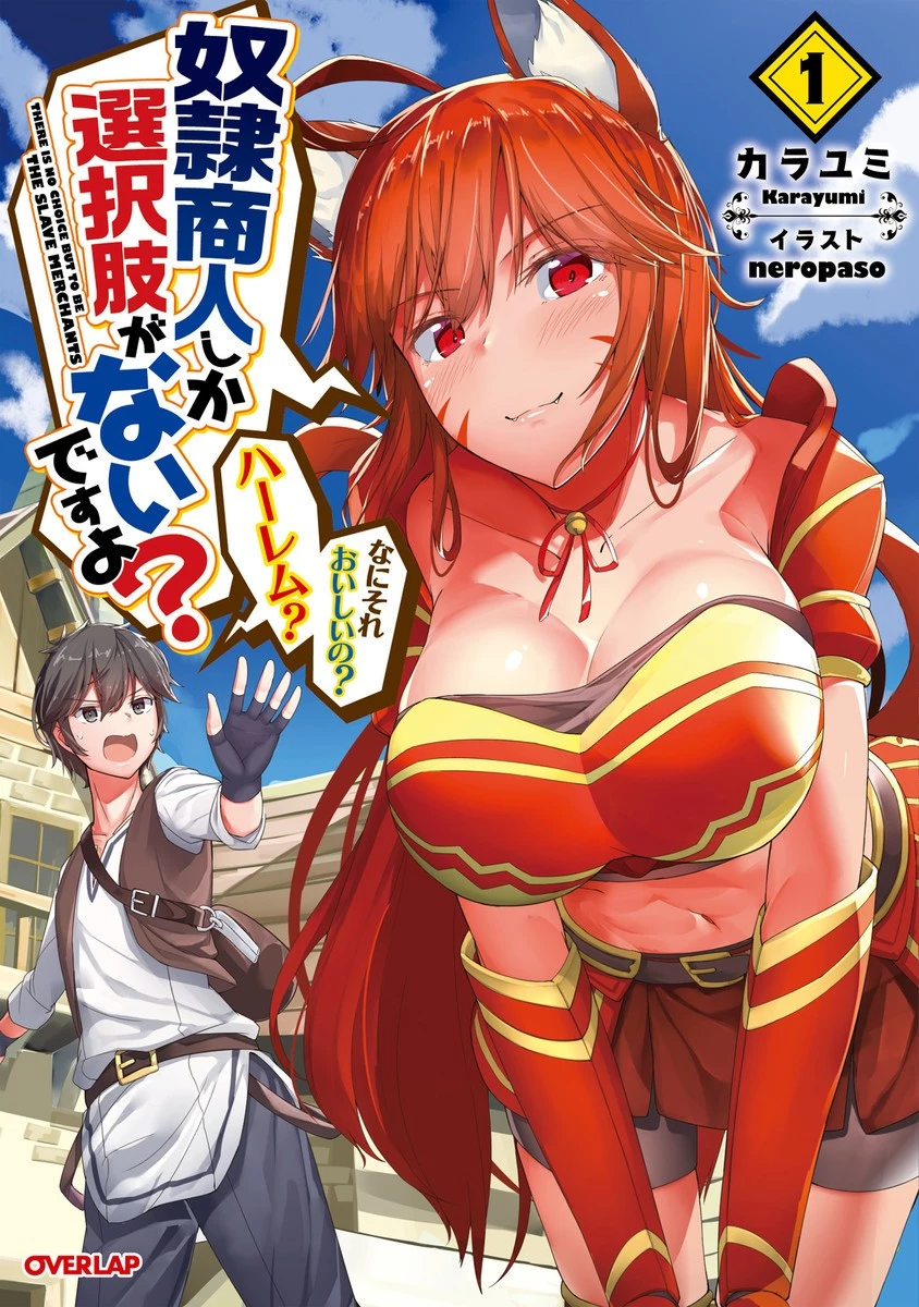 奴隷商人しか選択肢がないですよ?～ハーレム?なにそれおいしいの?～ 第2話 - 1