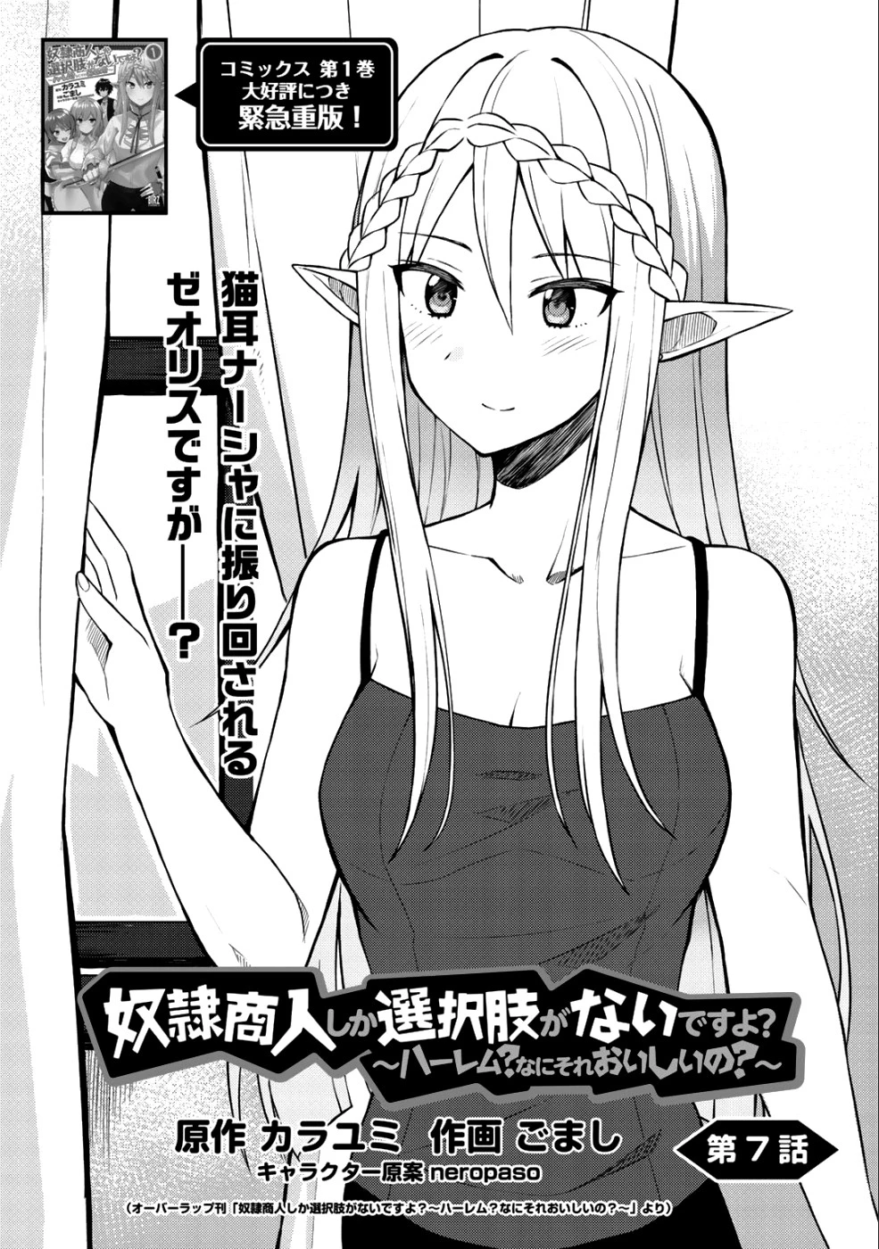 奴隷商人しか選択肢がないですよ?～ハーレム?なにそれおいしいの?～ 第7話 - 2