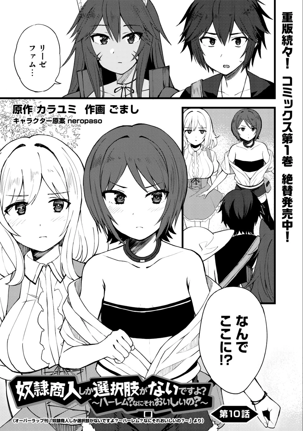 奴隷商人しか選択肢がないですよ?～ハーレム?なにそれおいしいの?～ 第10話 - 1