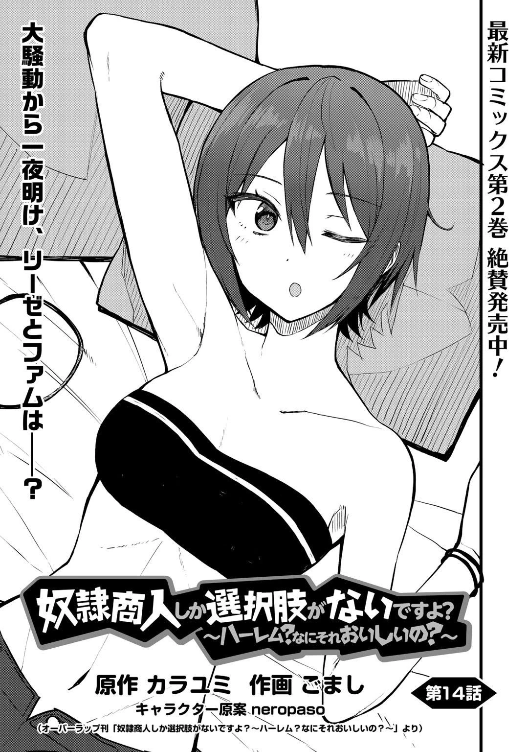 奴隷商人しか選択肢がないですよ?～ハーレム?なにそれおいしいの?～ 第14話 - 1
