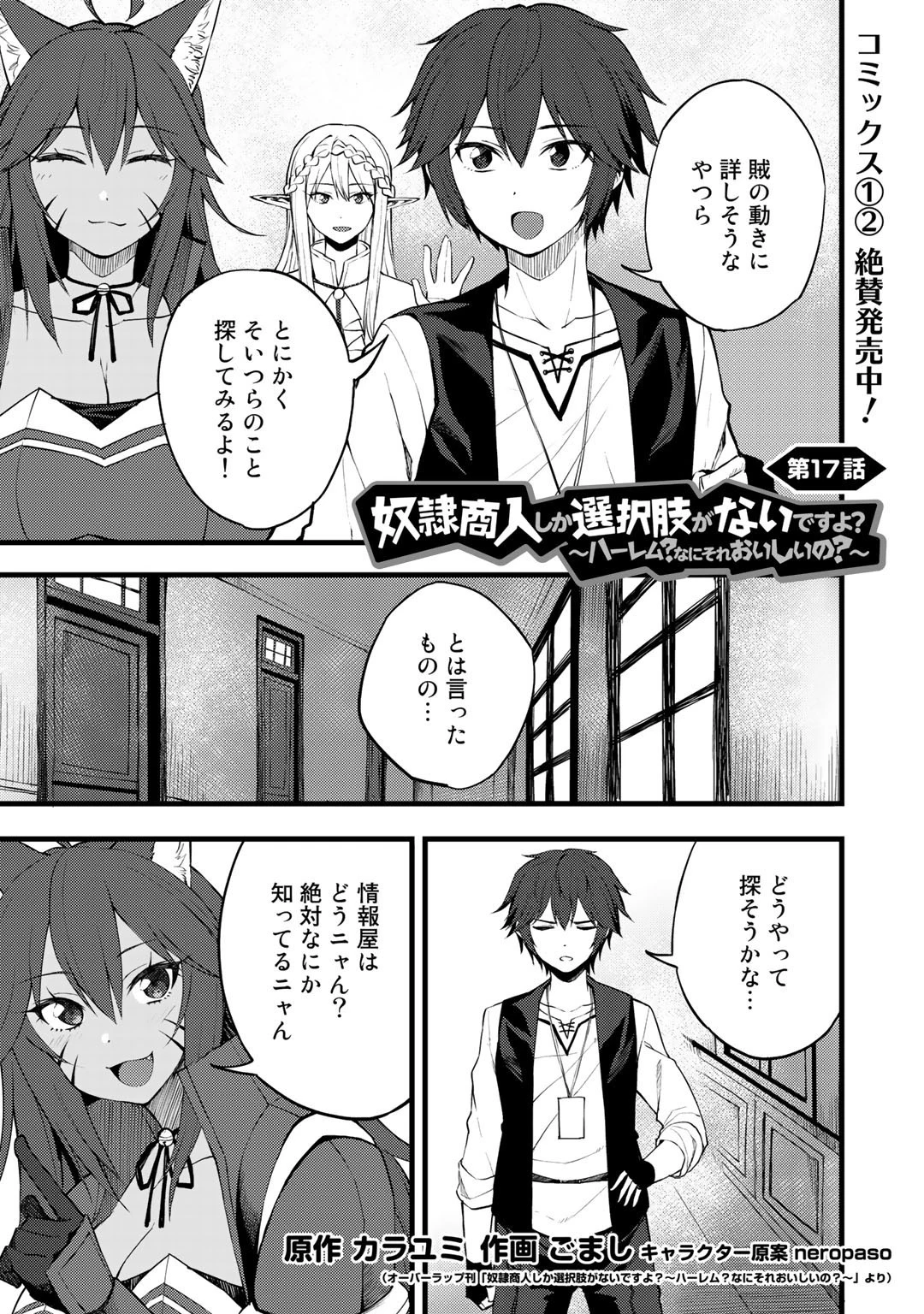 奴隷商人しか選択肢がないですよ?～ハーレム?なにそれおいしいの?～ 第17話 - 1