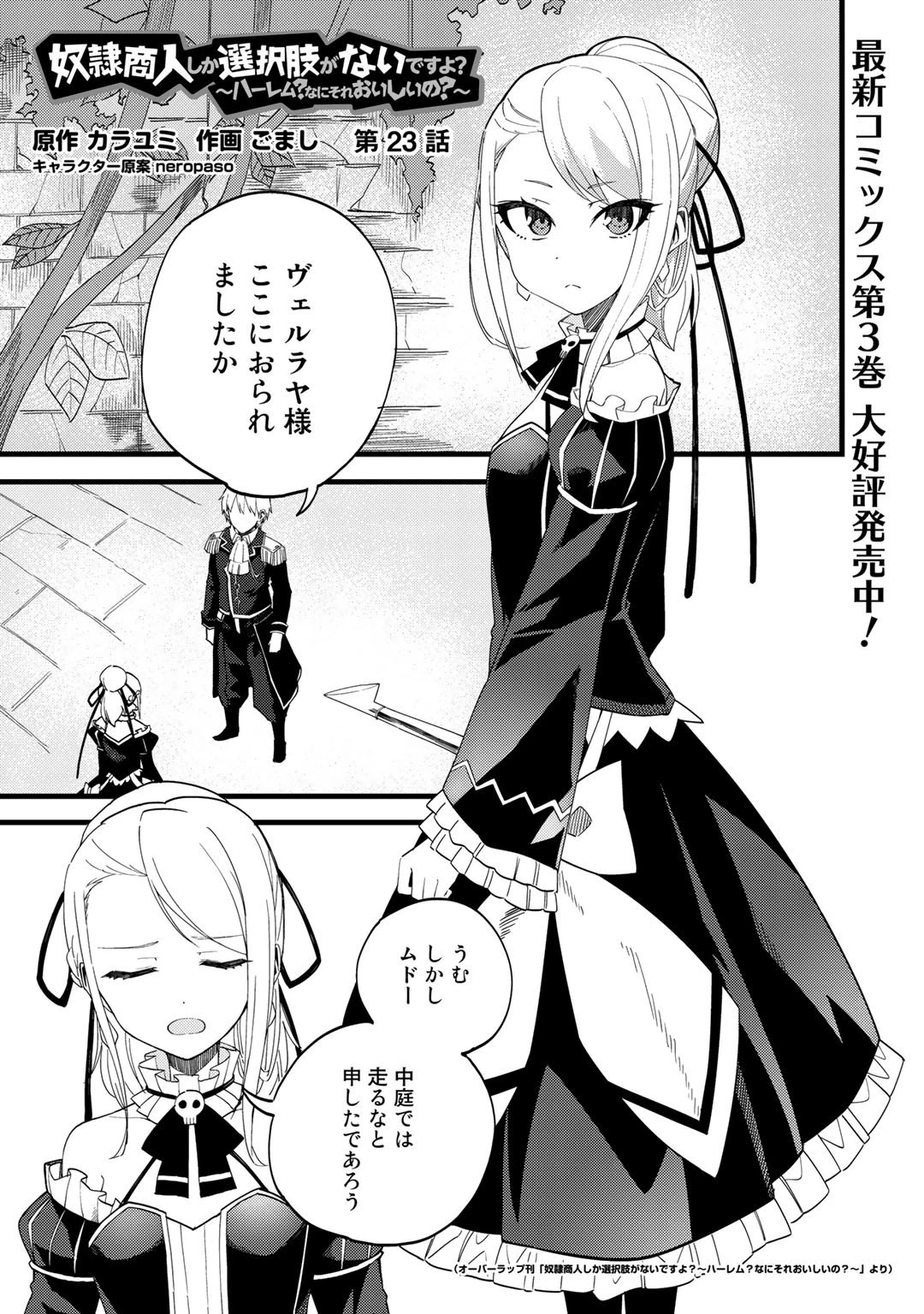 奴隷商人しか選択肢がないですよ?～ハーレム?なにそれおいしいの?～ 第23話 - 1