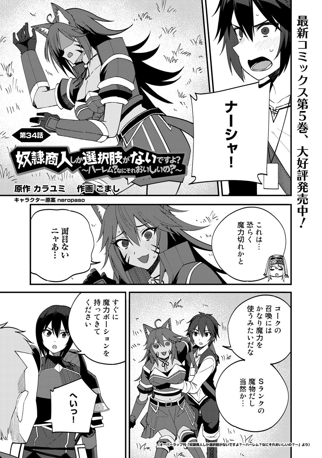 奴隷商人しか選択肢がないですよ?～ハーレム?なにそれおいしいの?～ 第34話 - 1