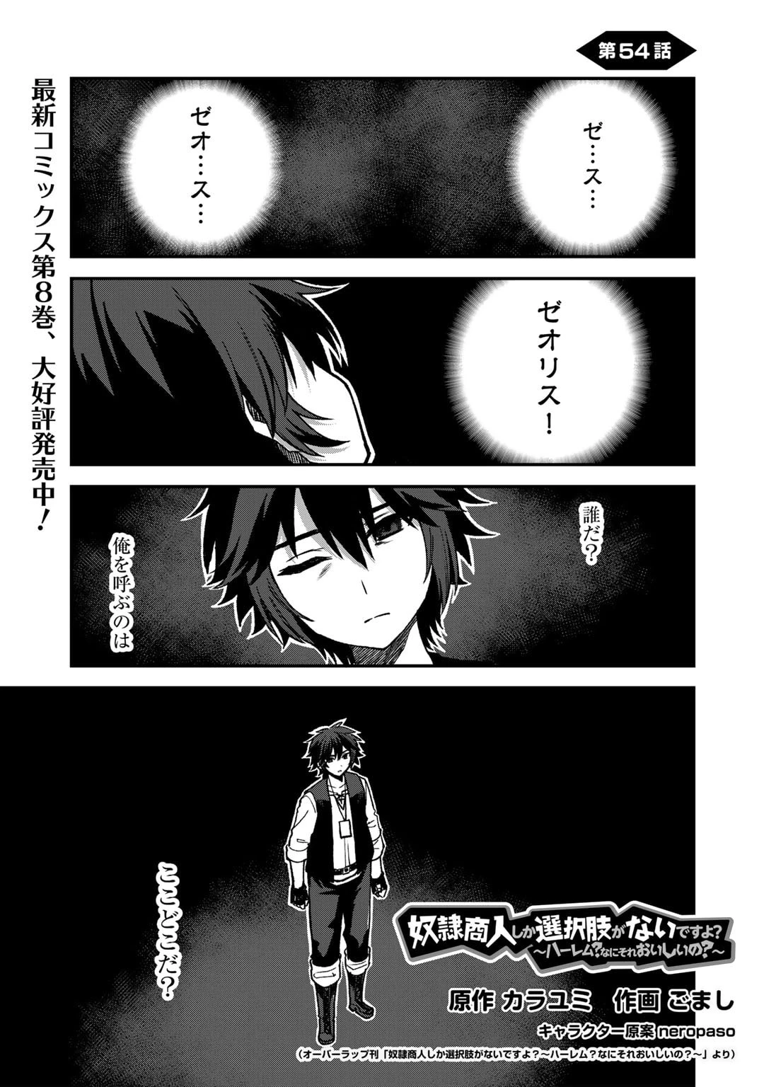 奴隷商人しか選択肢がないですよ?～ハーレム?なにそれおいしいの?～ 第54話 - 1