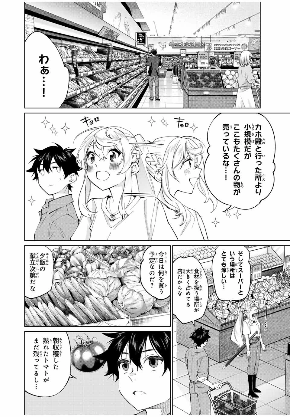 田んぼで拾った女騎士、田舎で俺の嫁だと思われている 第23話 - 4