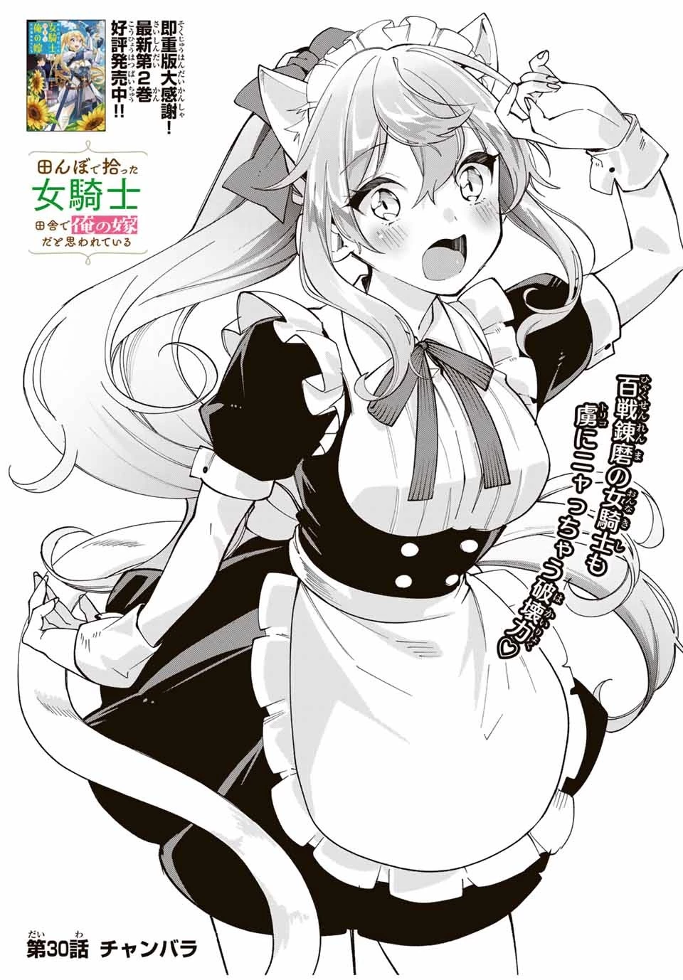 田んぼで拾った女騎士、田舎で俺の嫁だと思われている 第30話 - 3