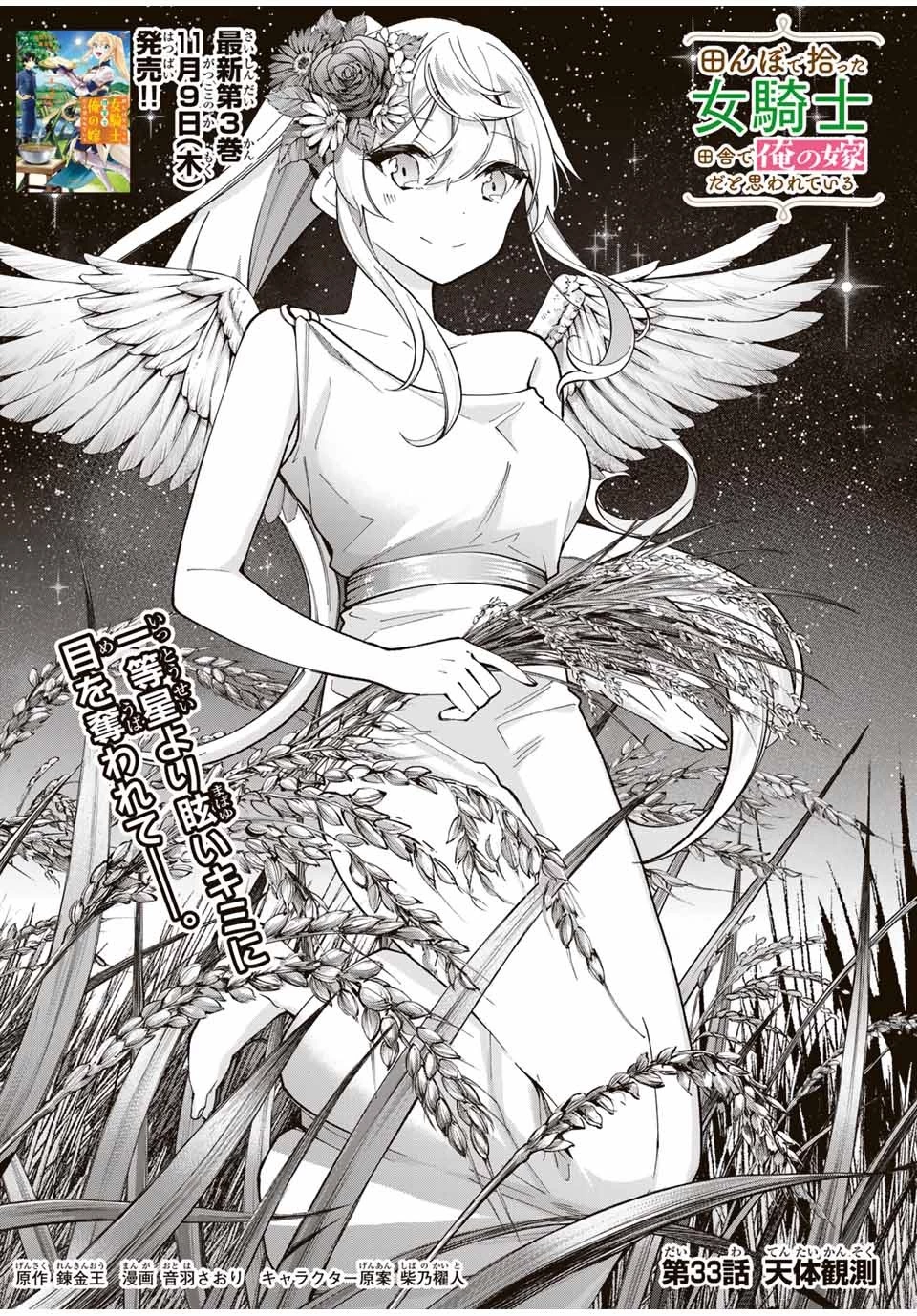 田んぼで拾った女騎士、田舎で俺の嫁だと思われている 第33話 - 4