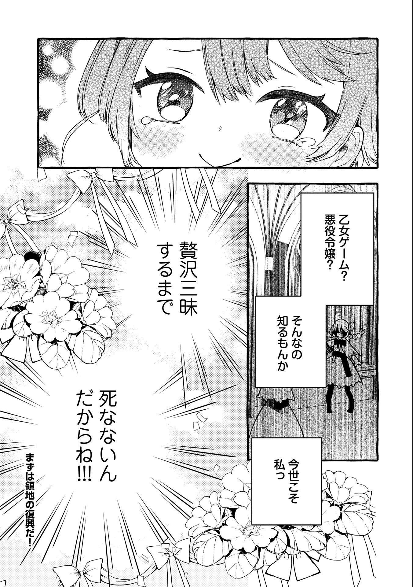 贅沢三昧したいのです！ 転生したのに貧乏なんて許せないので、魔法で領地改革 第2話 - 35