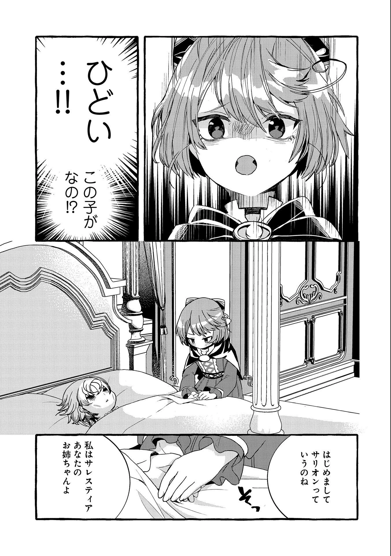 贅沢三昧したいのです！ 転生したのに貧乏なんて許せないので、魔法で領地改革 第11話 - 9