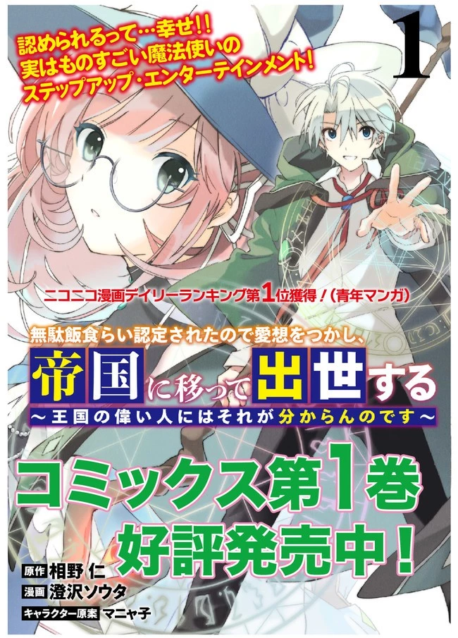 無駄飯食らい認定されたので愛想をつかし、帝国に移って出世する　～王国の偉い人にはそれが分からんのです～ 第18話 - 18