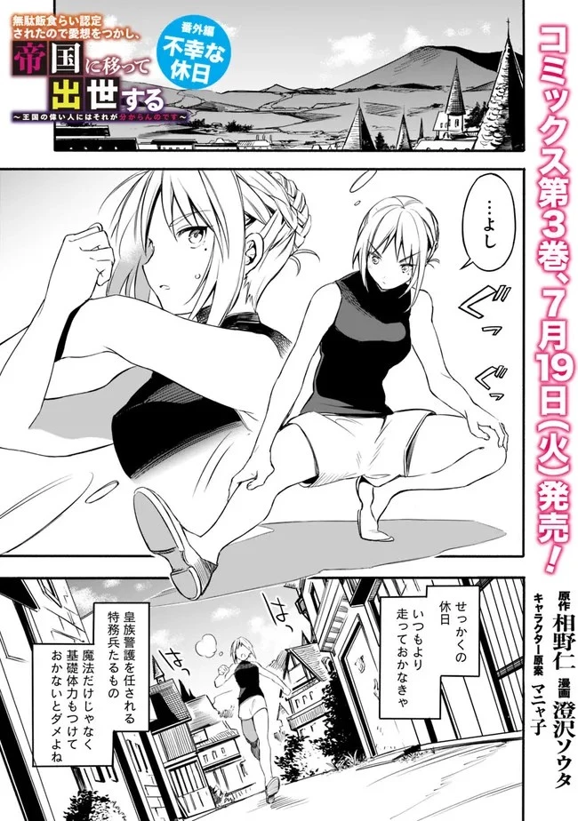 無駄飯食らい認定されたので愛想をつかし、帝国に移って出世する　～王国の偉い人にはそれが分からんのです～ 第27.6話 - 1