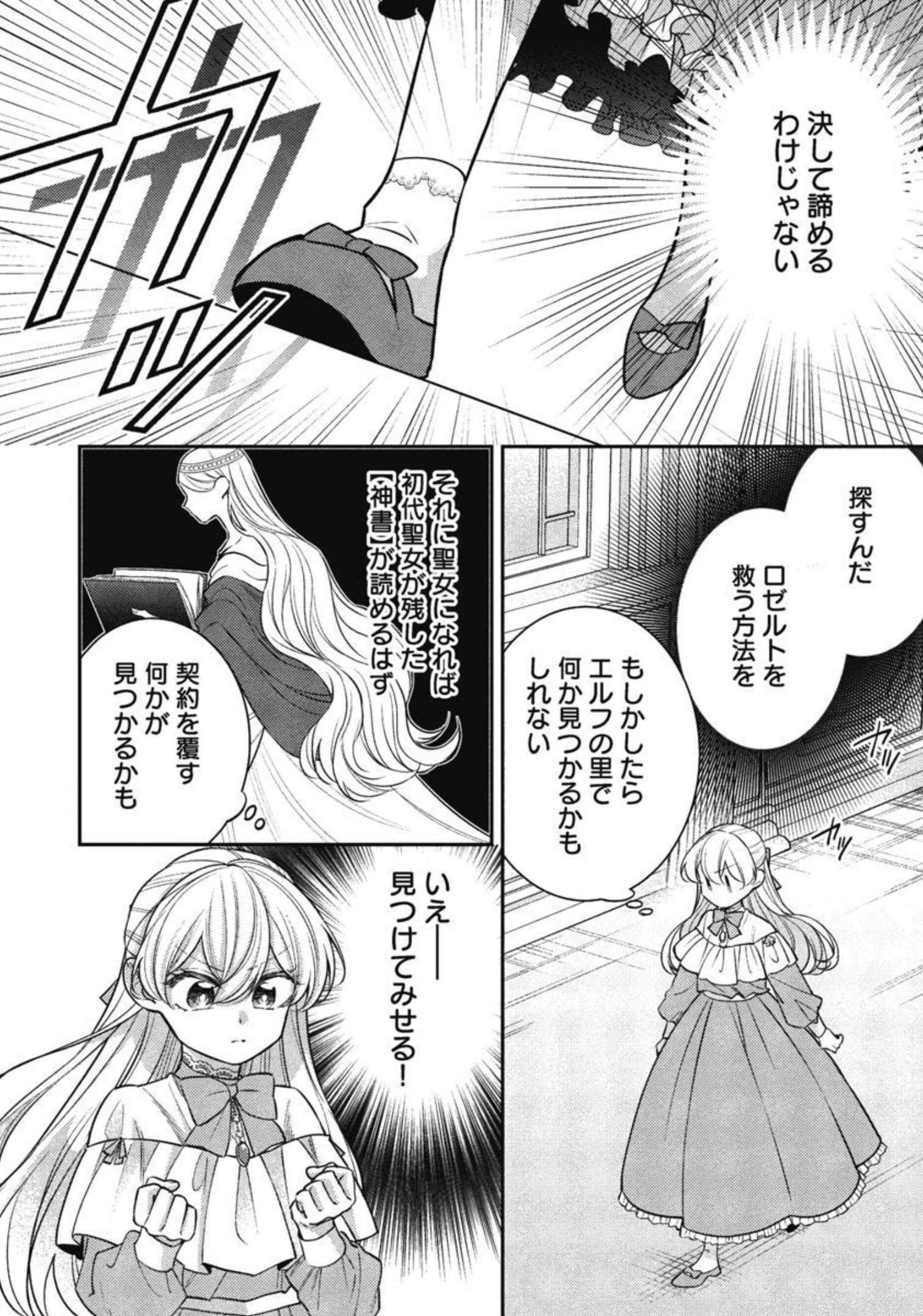 偽聖女と虐げられた公爵令嬢は二度目の人生は復讐に生きる 第9話 - 20