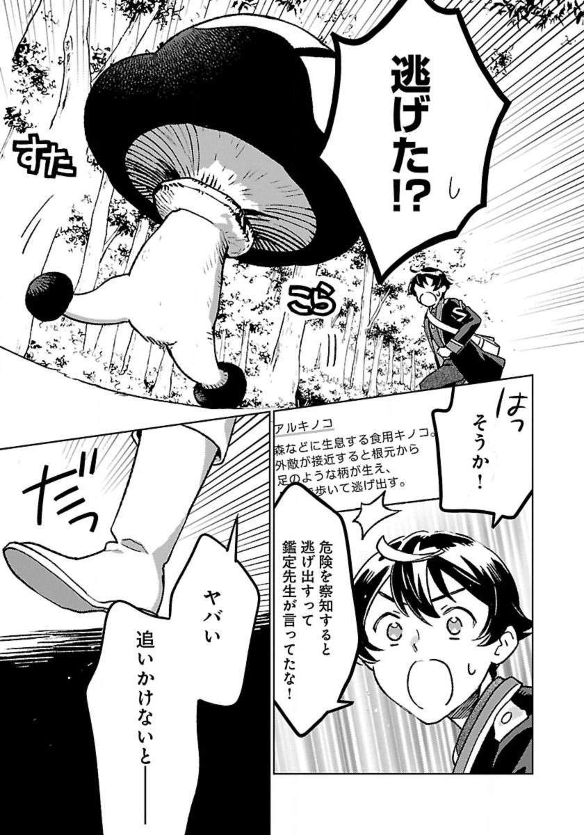 異世界のんびり素材採取生活 第16話 - 11