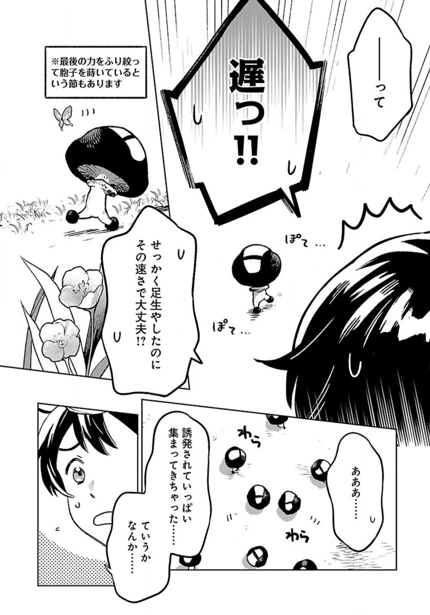 異世界のんびり素材採取生活 第16話 - 12
