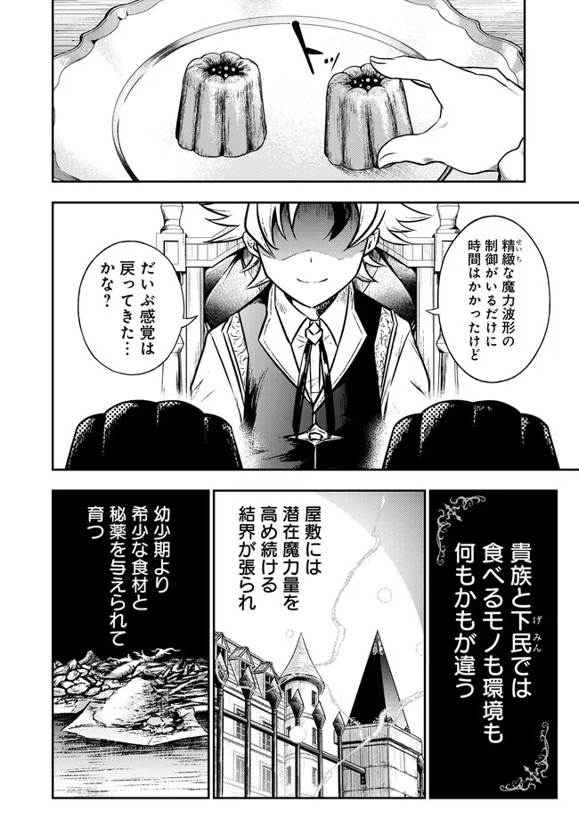 復讐の転生貴族～全てを奪われた大賢者、己を【複製】して二度目の生を得る～ 第2.1話 - 8