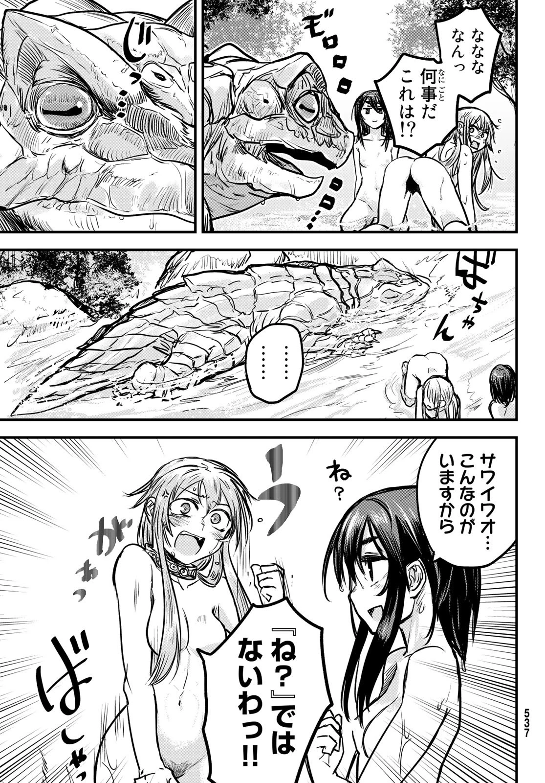 姫騎士は蛮族の嫁 第3話 - 19