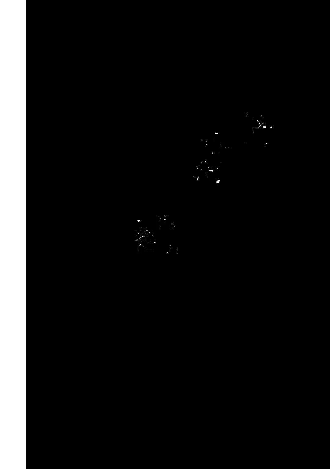 効率厨魔導師、第二の人生で魔導を極める 第49話 - 50