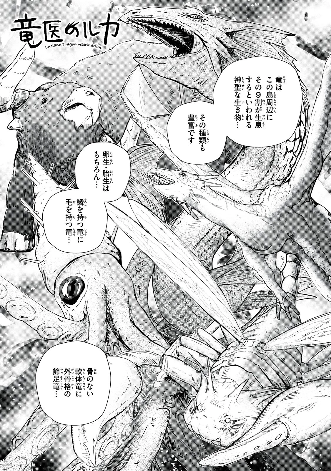 竜医のルカ 第2話 - 1