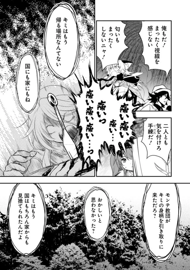 遊び人は賢者に転職できるって知ってました？　～勇者パーティを追放されたLV99道化師、【大賢者】になる～ 第27.2話 - 17