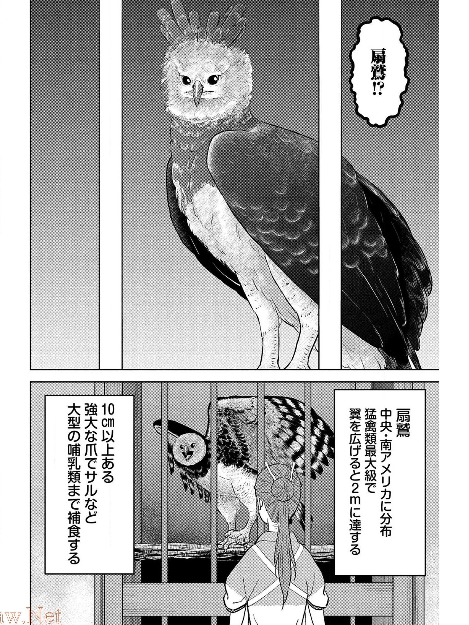 戦国小町苦労譚 第38話 - 22
