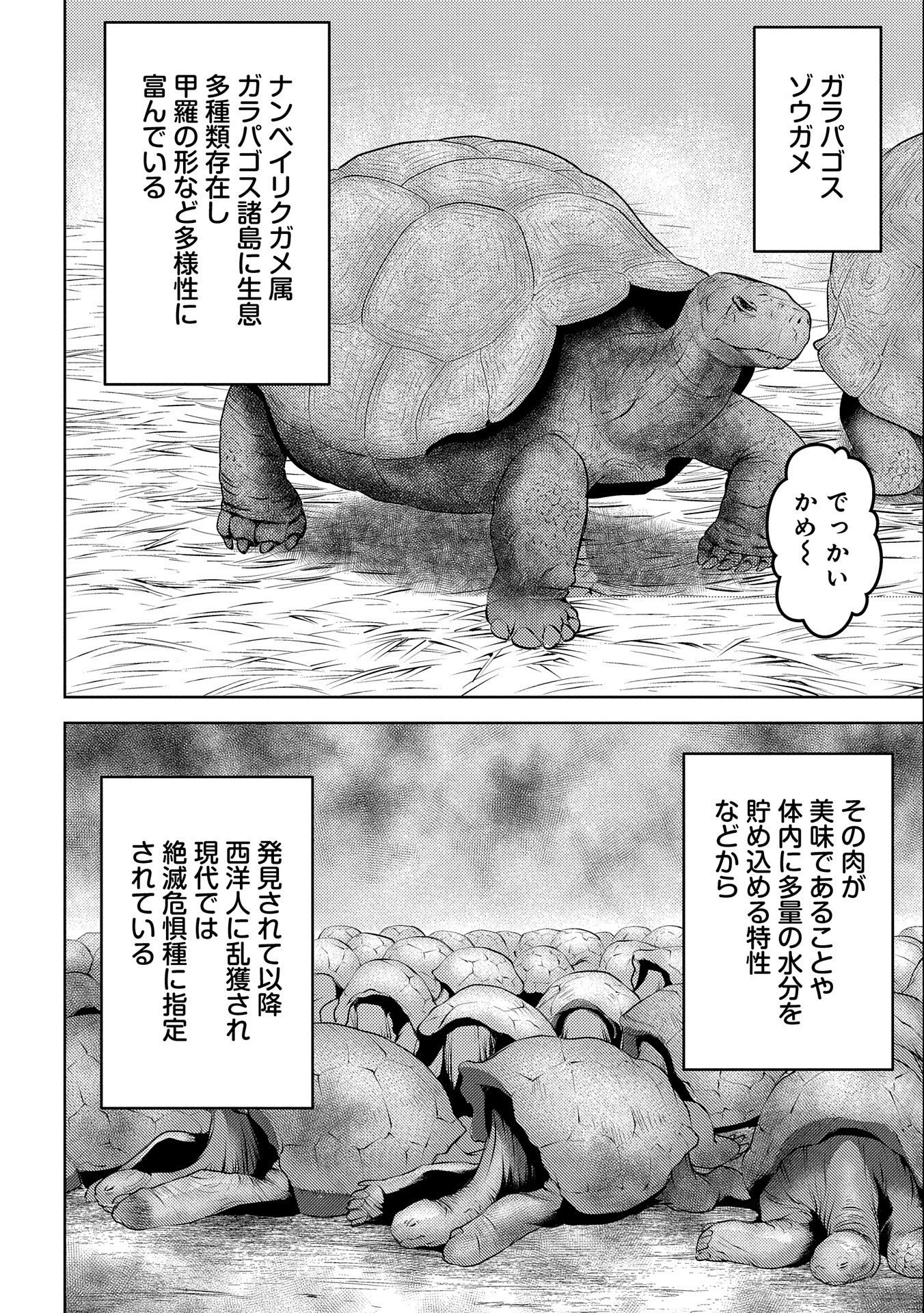 戦国小町苦労譚 第57話 - 6
