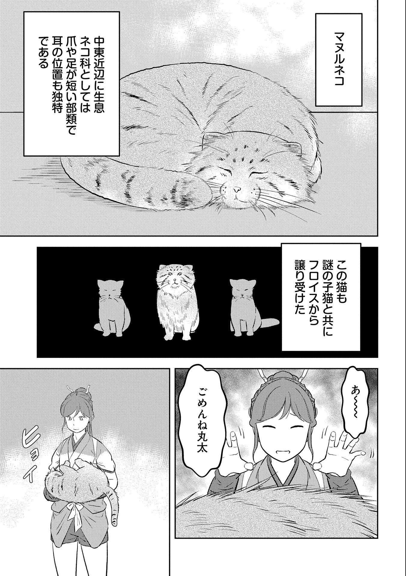 戦国小町苦労譚 第57話 - 13