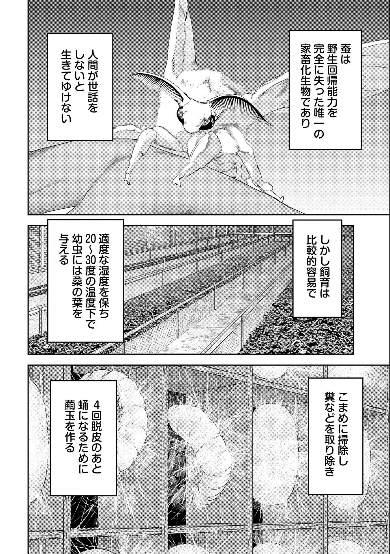 戦国小町苦労譚 第74話 - 4