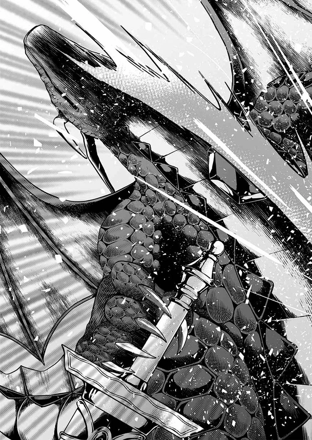 異世界の戦士として国に招かれたけど、断って兵士から始める事にした 第9話 - 22