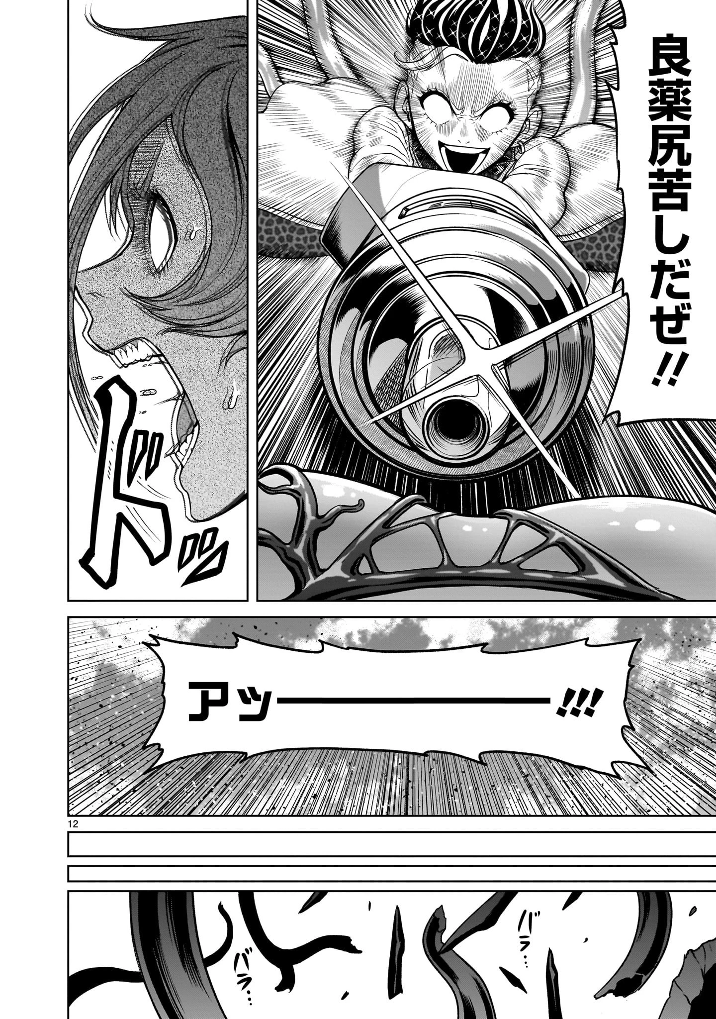 ローゼンガーテン・サーガ 第39話 - 12