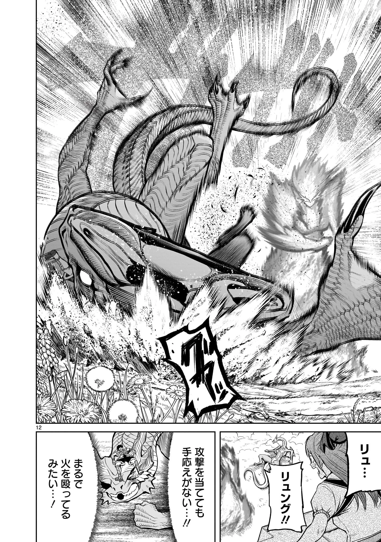 ローゼンガーテン・サーガ 第45話 - 12
