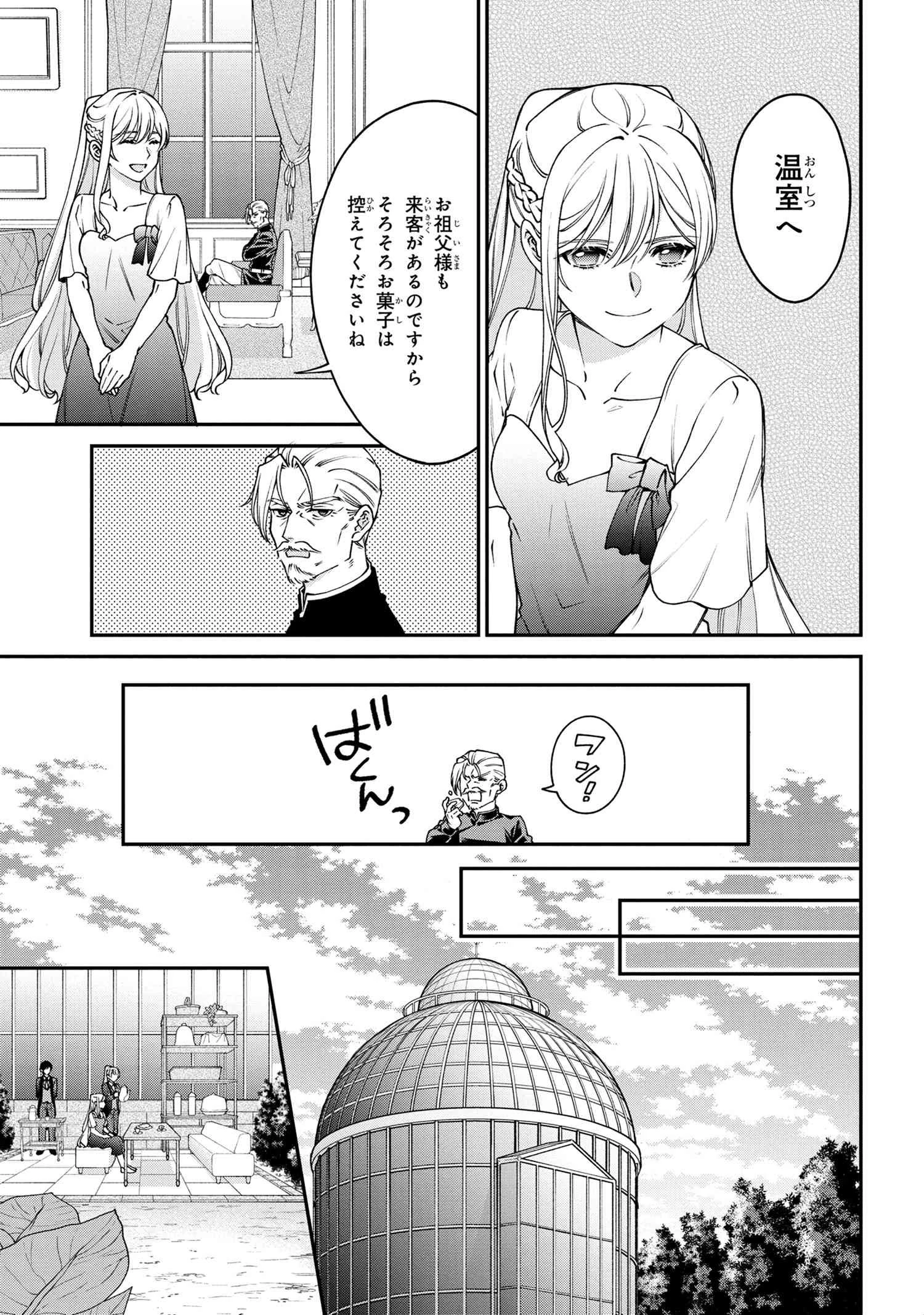 悪役令嬢？ いいえ、極悪令嬢ですわ 第17.1話 - 9