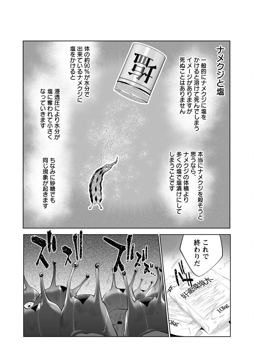 レベル1の最強賢者　～呪いで最下級魔法しか使えないけど、神の勘違いで無限の魔力を手に入れ最強に～ 第36話 - 24