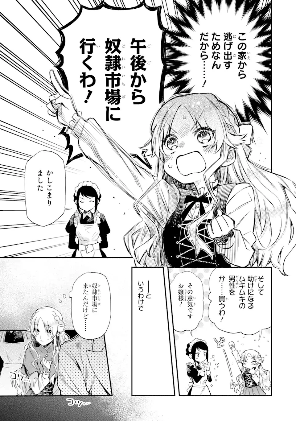 家から逃げ出したい私が、うっかり憧れの大魔法使い様を買ってしまったら 第1.1話 - 17