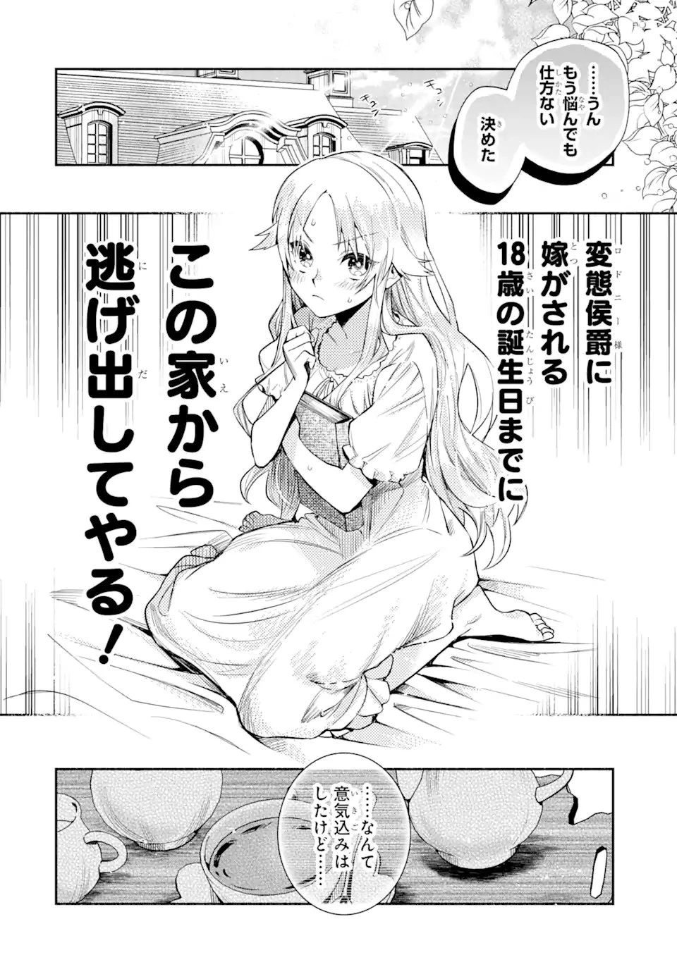 家から逃げ出したい私が、うっかり憧れの大魔法使い様を買ってしまったら 第1.2話 - 12