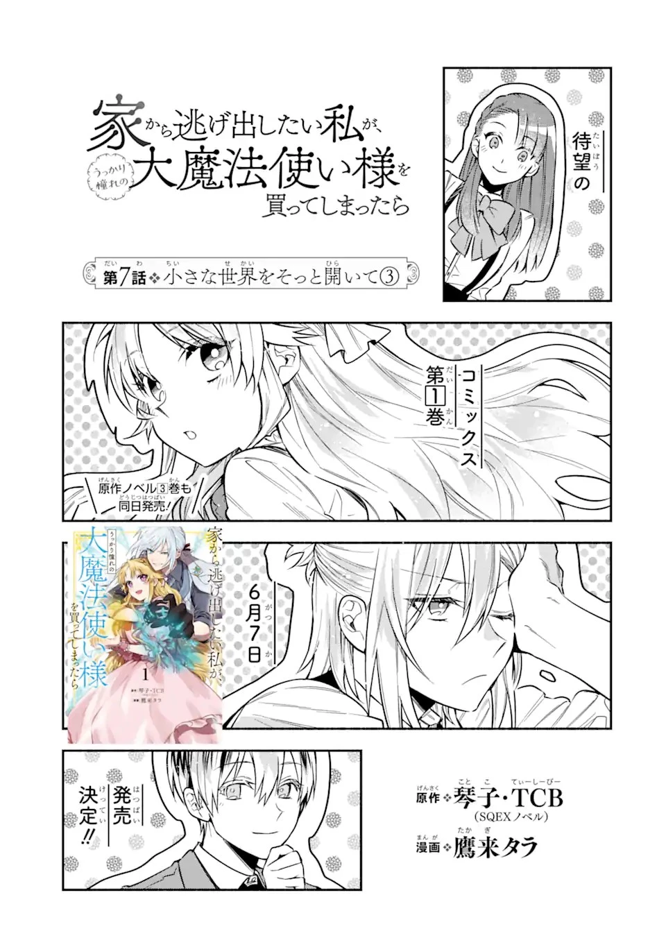 家から逃げ出したい私が、うっかり憧れの大魔法使い様を買ってしまったら 第7話 - 3