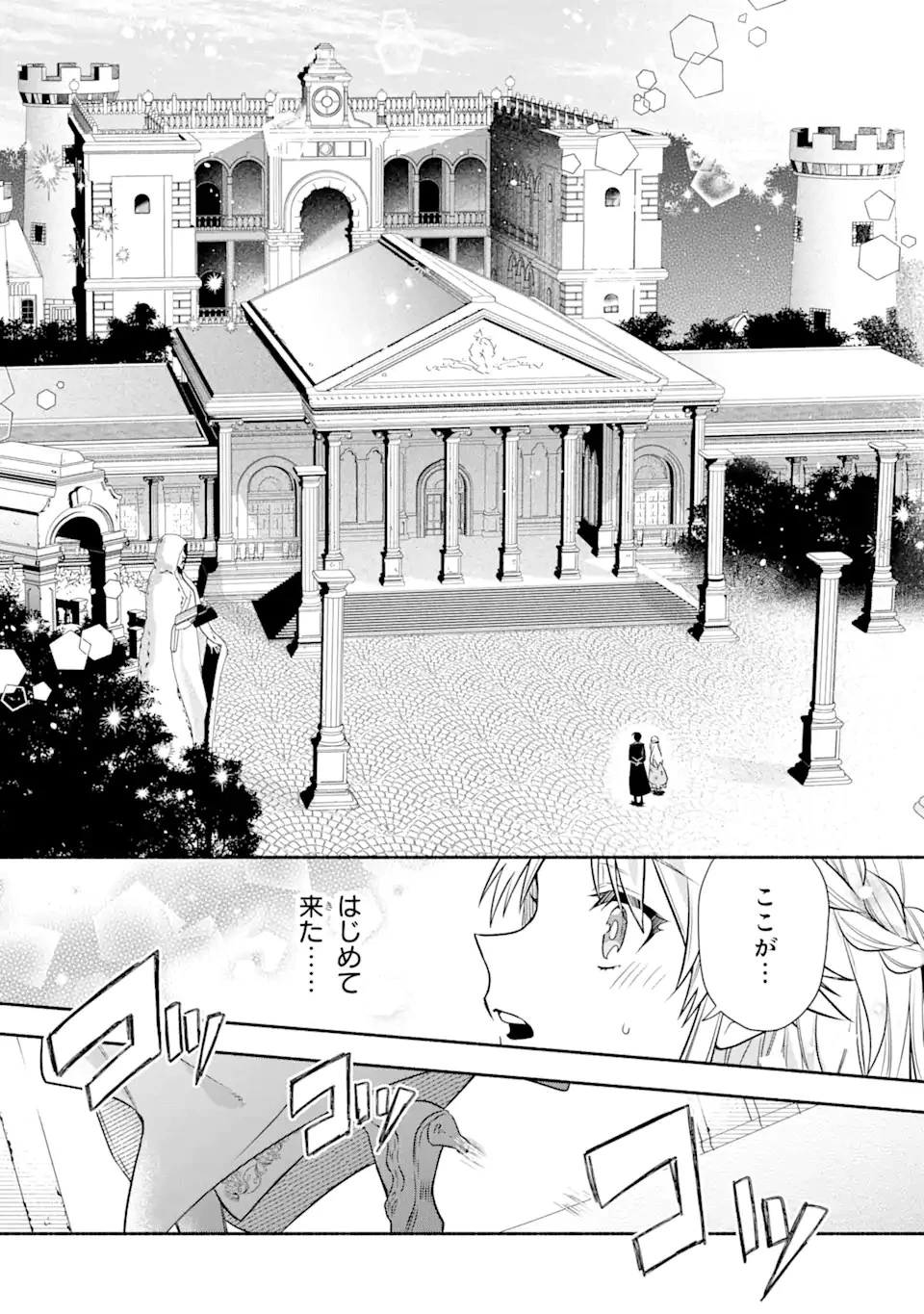 家から逃げ出したい私が、うっかり憧れの大魔法使い様を買ってしまったら 第10.1話 - 5