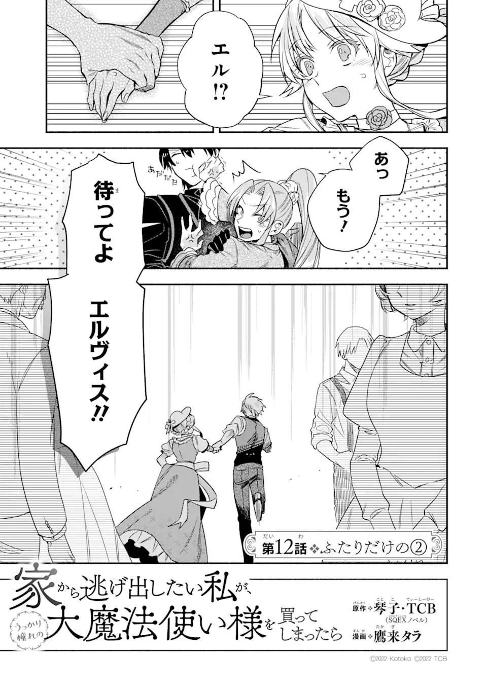 家から逃げ出したい私が、うっかり憧れの大魔法使い様を買ってしまったら 第12.1話 - 5