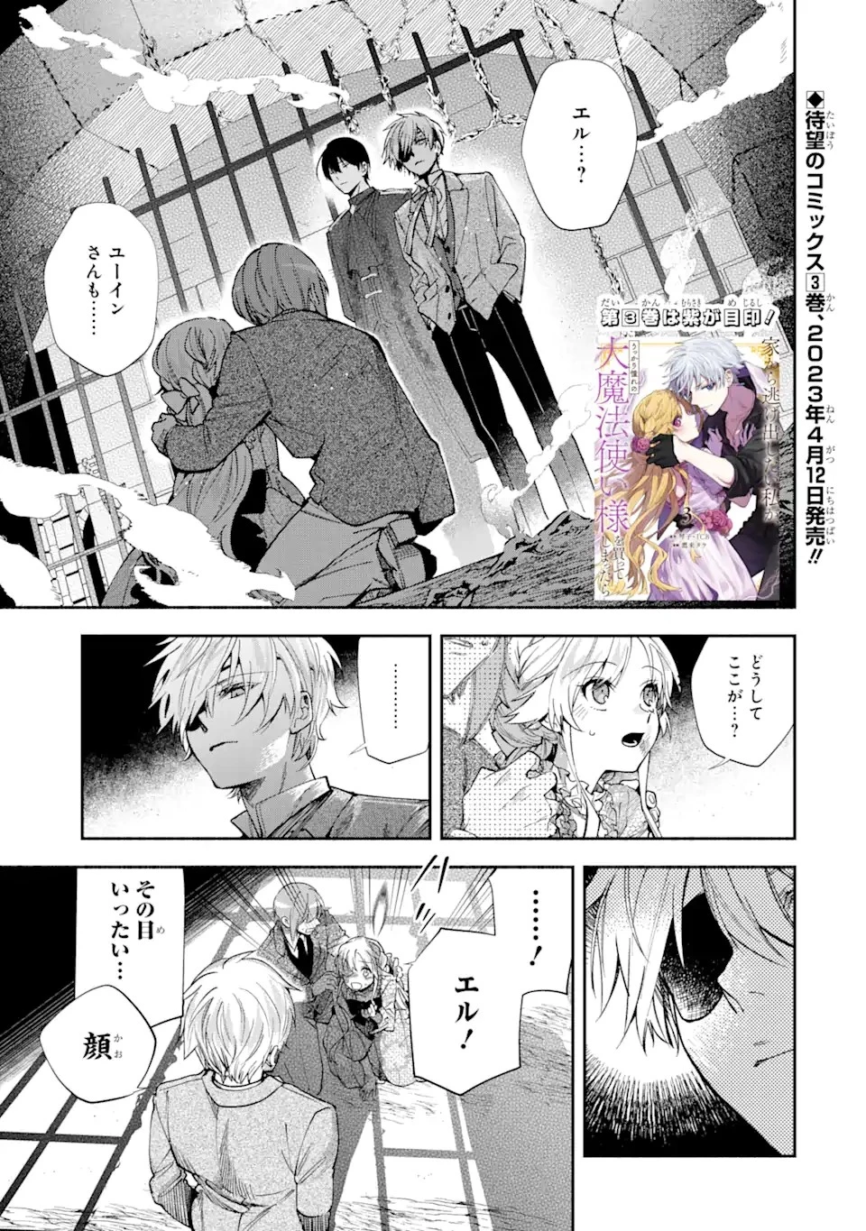 家から逃げ出したい私が、うっかり憧れの大魔法使い様を買ってしまったら 第17.1話 - 1