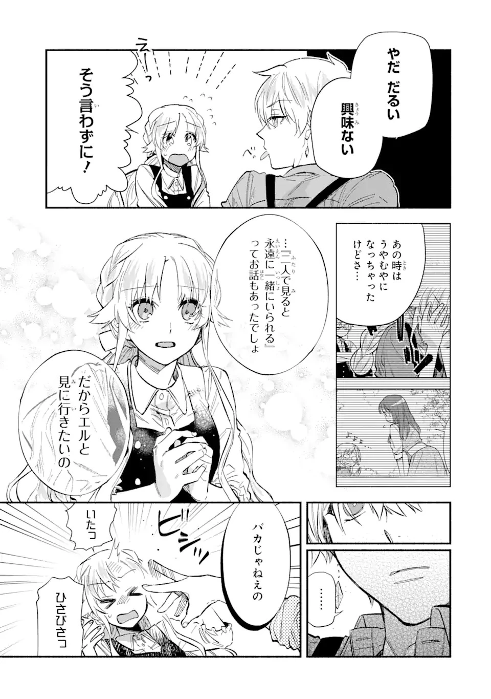 家から逃げ出したい私が、うっかり憧れの大魔法使い様を買ってしまったら 第19.1話 - 3