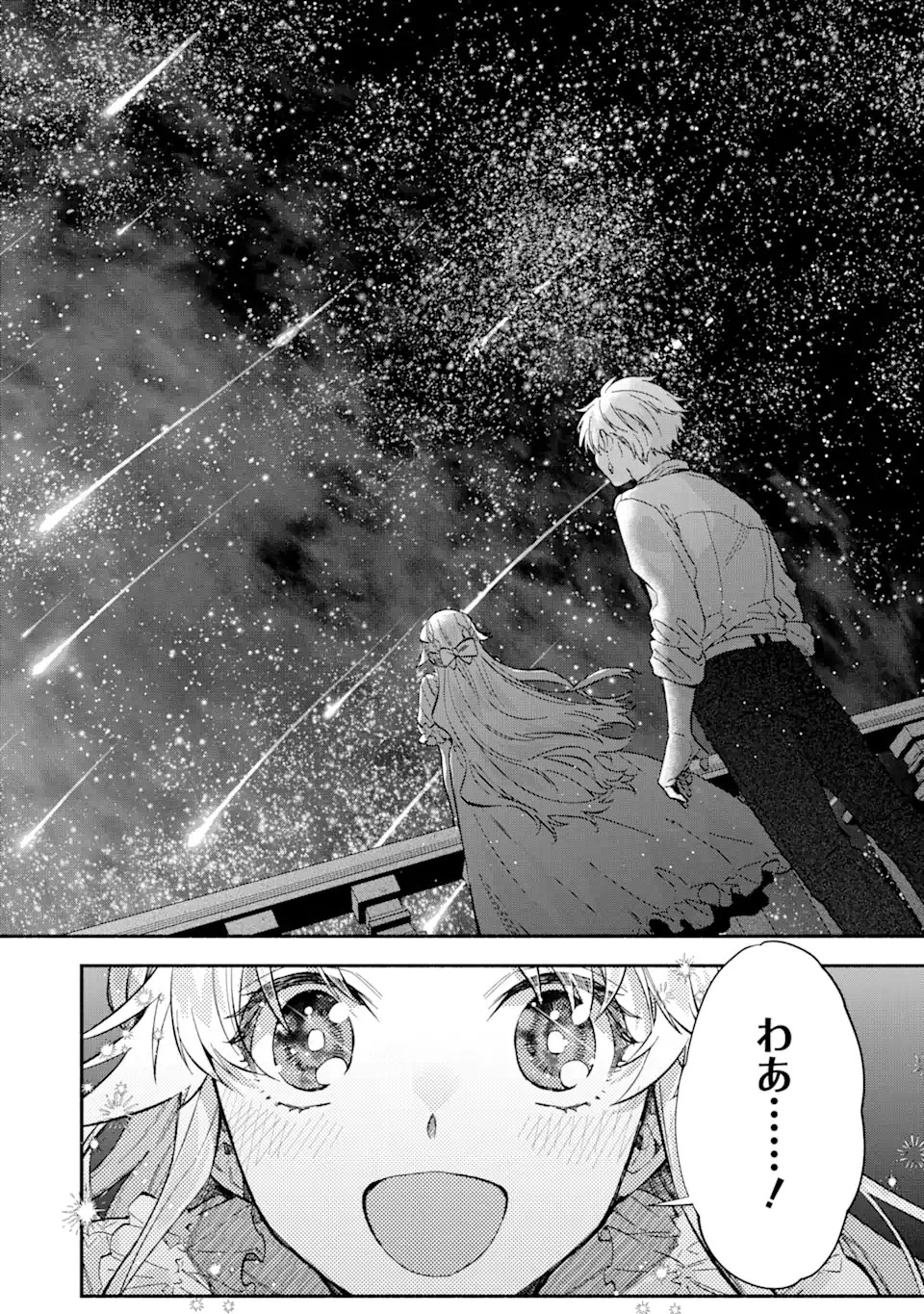 家から逃げ出したい私が、うっかり憧れの大魔法使い様を買ってしまったら 第19.1話 - 12