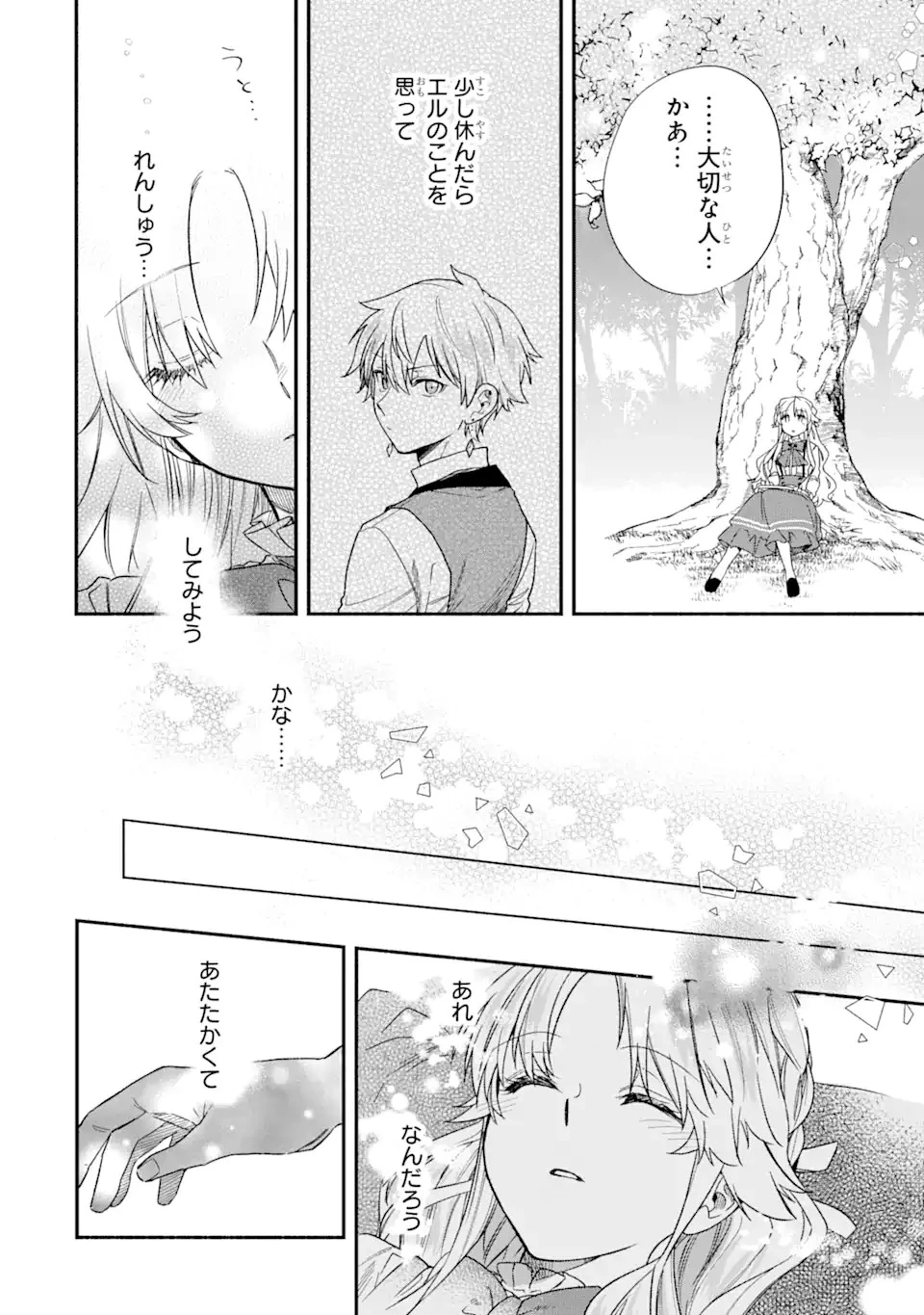 家から逃げ出したい私が、うっかり憧れの大魔法使い様を買ってしまったら 第20.2話 - 12