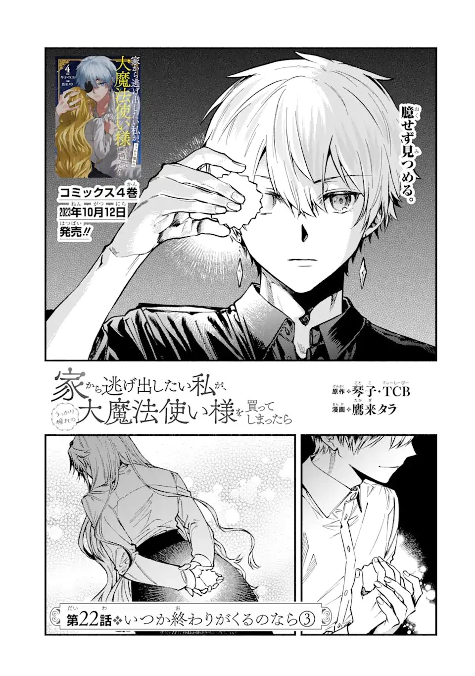 家から逃げ出したい私が、うっかり憧れの大魔法使い様を買ってしまったら 第22.3話 - 7